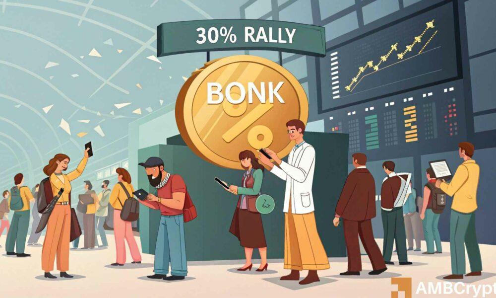 BONK: Exploring the Probability of a 30% Increase in the Value of a Meme Coin