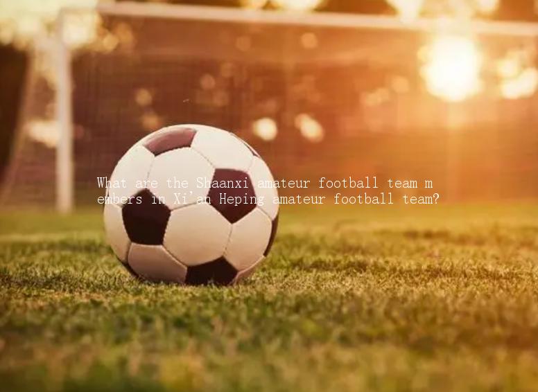 What are the Shaanxi amateur football team members in Xi'an Heping amateur football team?